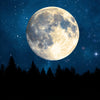 Full moon in a dark blue night sky