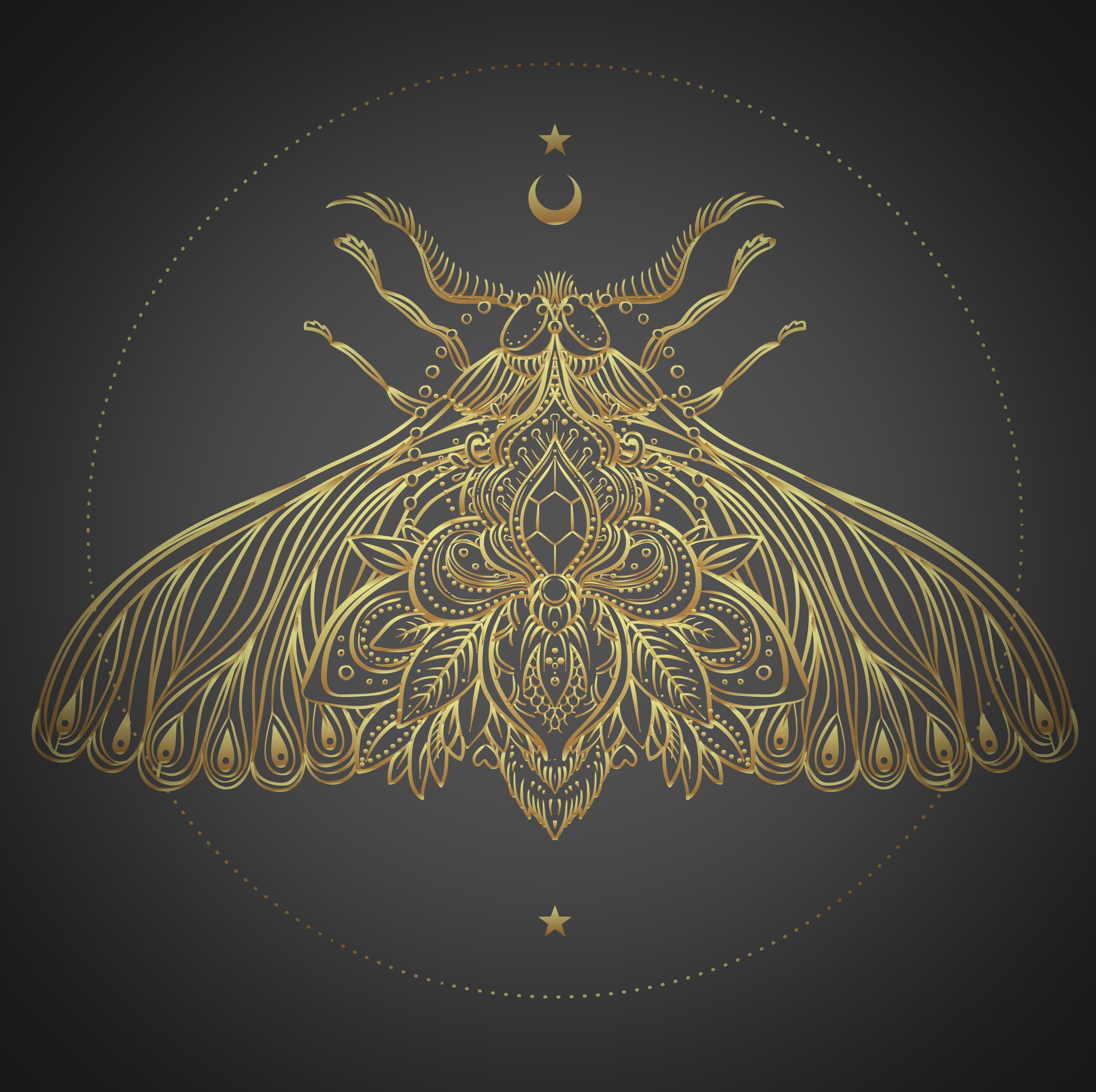 A Butterfly A Day