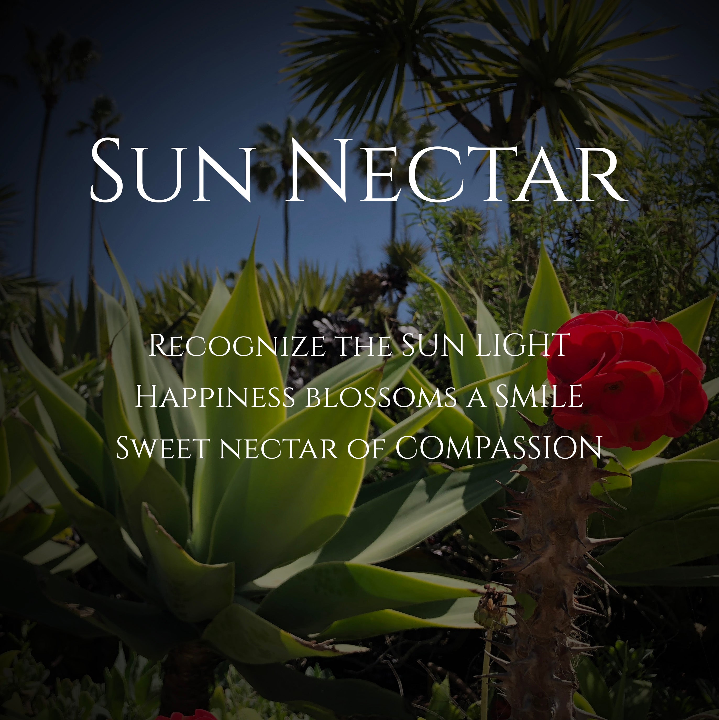 Haiku of the Week