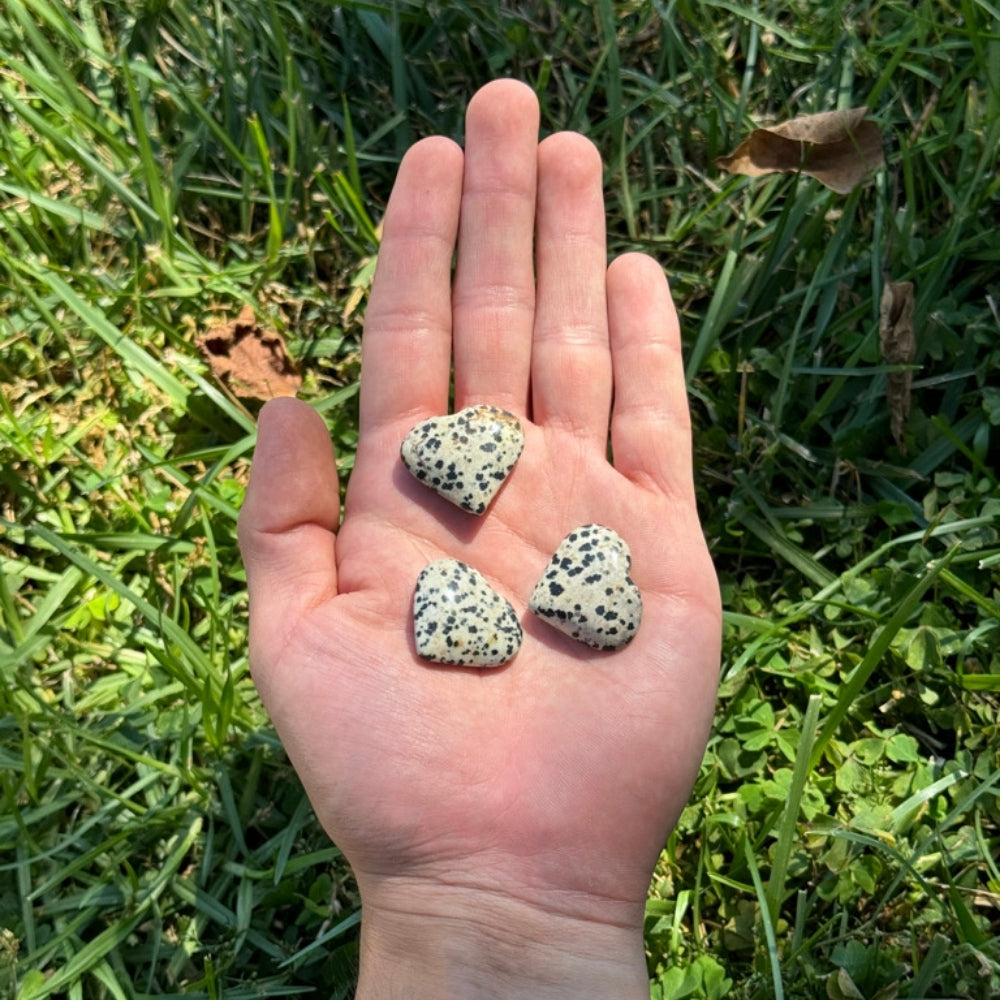 Dalmatian Jasper Mini Heart