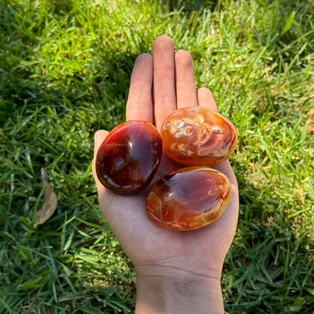 Carnelian Palmstone Earths Elements
