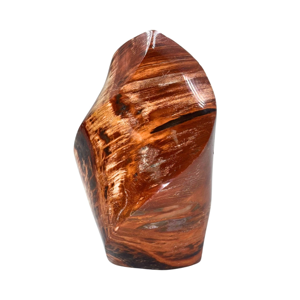 Petrified Wood Jasper Flame
