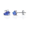 Tanzanite Raw Silver Earrings