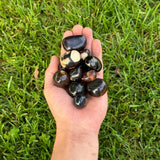 Amber Tumbled