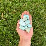 Amazonite Tumbled