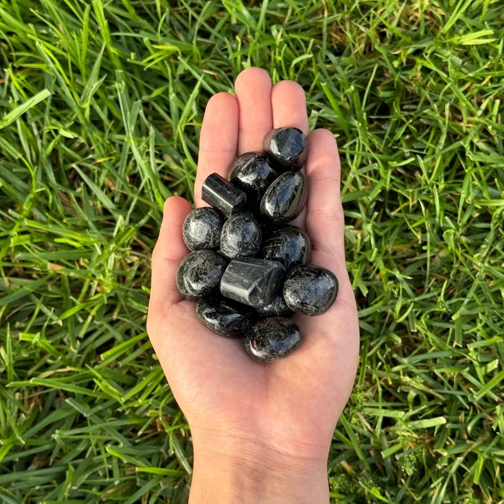 Black Tourmaline - Tumbled | Earths Elements