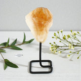 Decorative crystal on a stand with greenery on a light background
