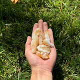 Citrine Raw Points