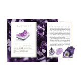 Crystal Companions Book