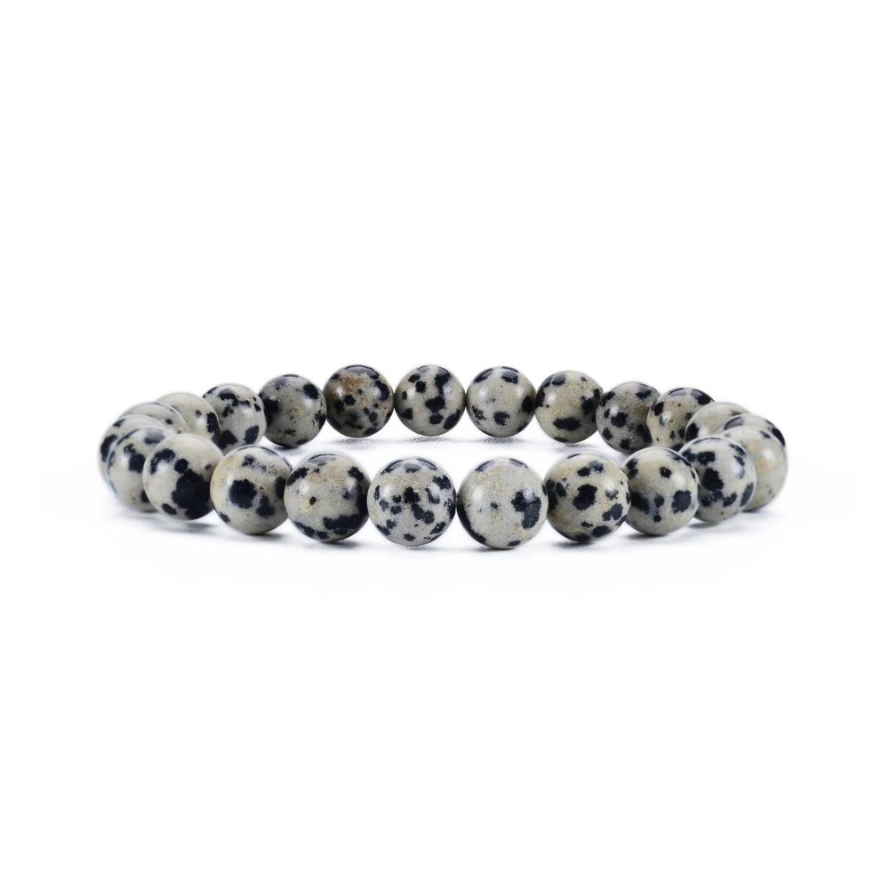 Dalmatian Jasper Bracelet 8mm