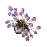 Feng Shui Amethyst Money Tree