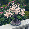 Rose Quartz Large Tree