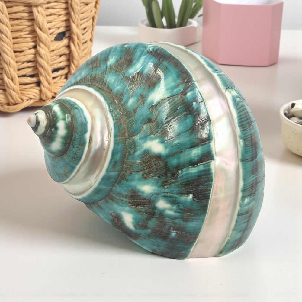 Jade Turban Banded