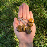 Hand holding tiger's eye keychains against a grass background