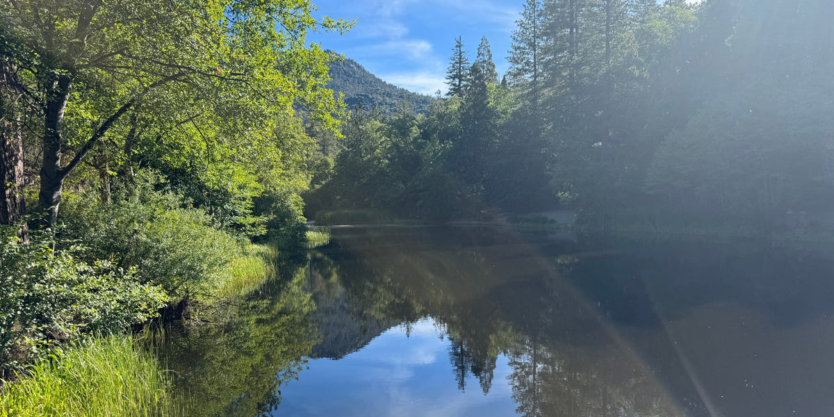 nature / lake in Idyllwild