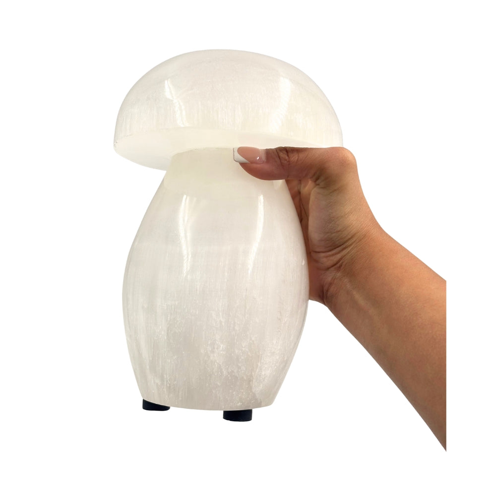 Hand holding a mushroom lamp against a white background