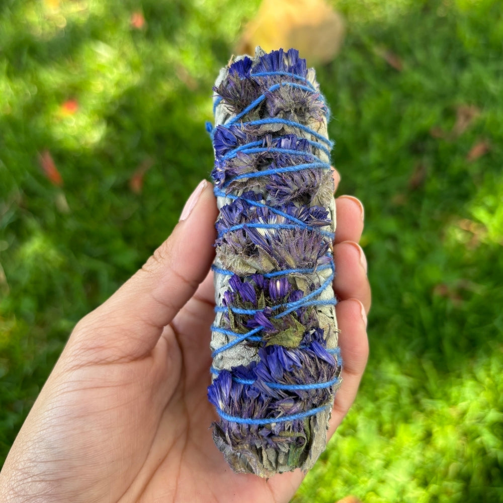 Hand holding a bundle of dried herbs wrapped with blue string against a green grass background