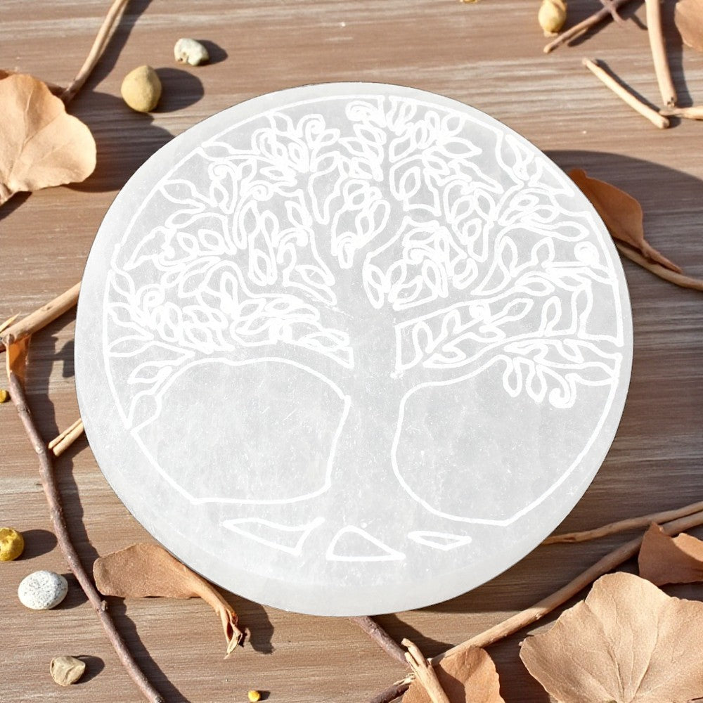 Round white selenite plate with tree of life engraving on a wooden surface with leaves and stones.