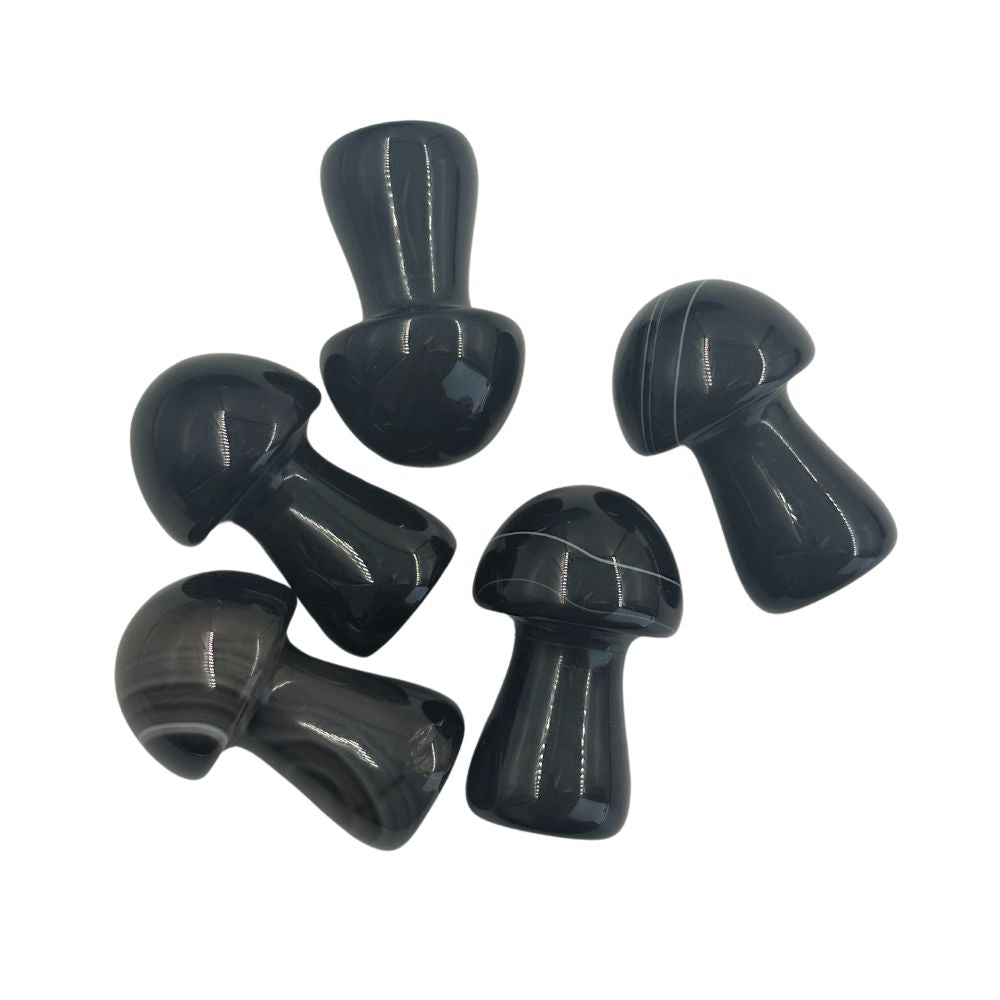 Black Onyx Mushroom - Medium