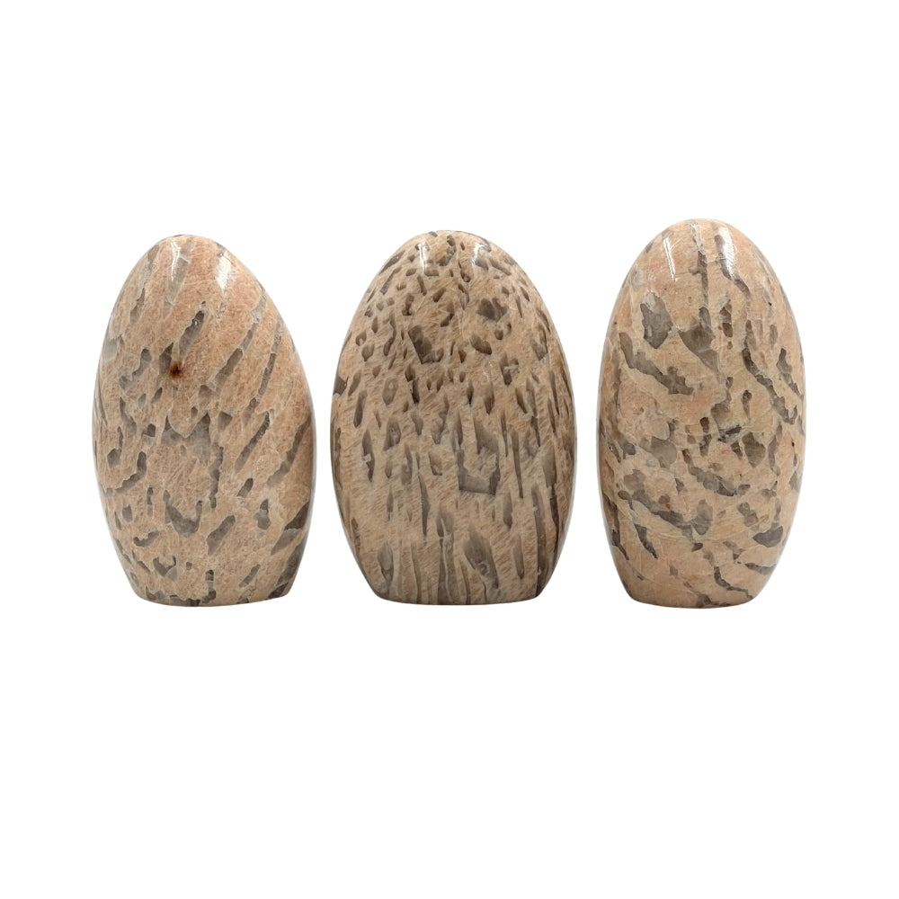 Snake Skin Jasper Free Form