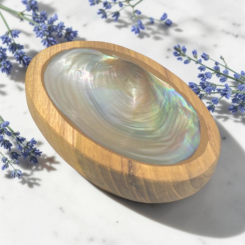 Wood Bowl with Shell - Natural