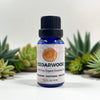 Bottle of Cedarwood essential oil with succulent plants in the background