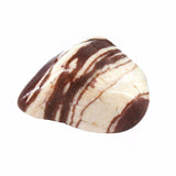 Zebra Jasper Tumbled