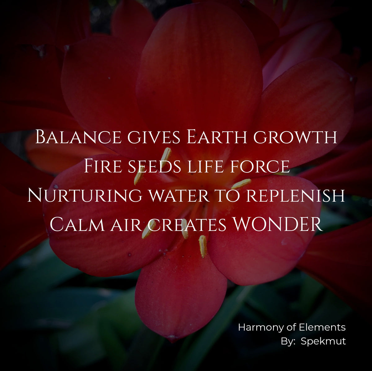 Balance gives EARTH growth Fire seeds&nbsp;life force Nurturing water to replenish Calm air creates WONDER
