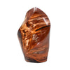 Petrified Wood Jasper Flame