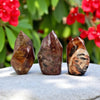 Petrified Wood Jasper Flame