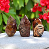 Petrified Wood Jasper Flame