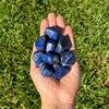 Lapis Lazuli Tumbled