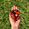 Red Jasper Tumbled
