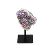 Lavender Aura on Stand
