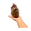 Petrified Wood Jasper Flame