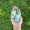 Ruby in Fuchsite - Tumbled