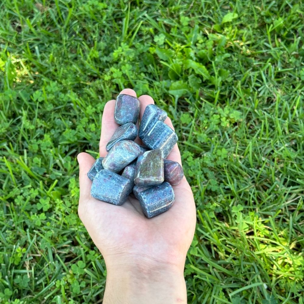 Ruby in Kyanite - Tumbled