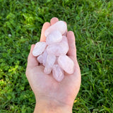 Rose Quartz Tumbled