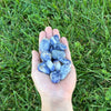 Sodalite Tumbled
