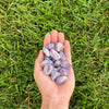 Amethyst Aura Tumbled