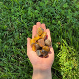 Tigers Eye Tumbled