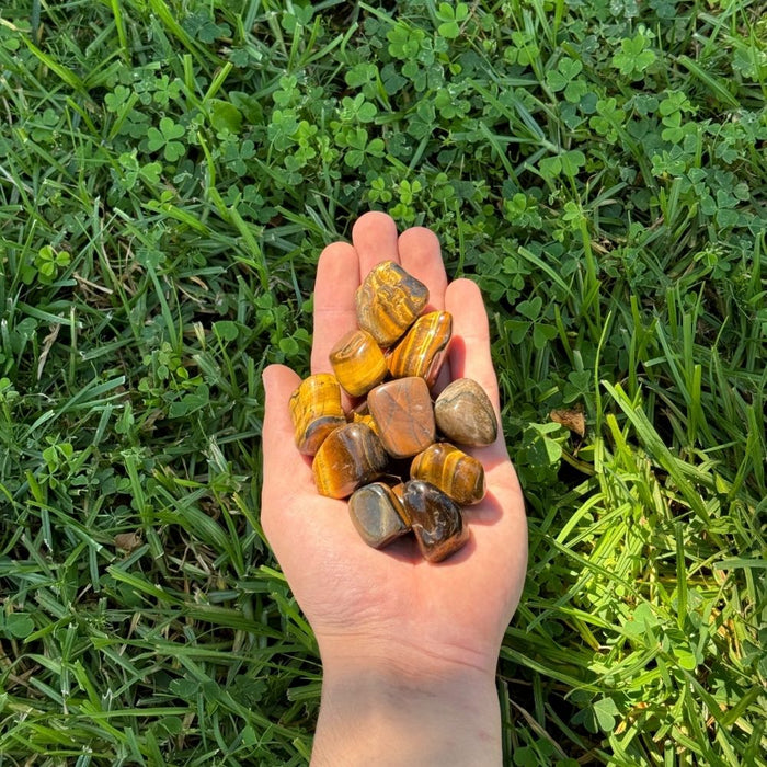 Tigers Eye Tumbled