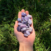 Lepidolite Tumbled