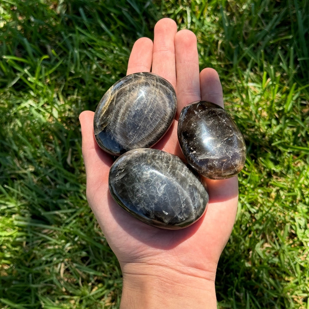 Black Moonstone Palm Stones