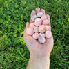 Rhodonite Tumbled