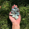 Aquamarine Tumbled