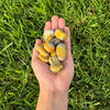 Bumble Bee Jasper Tumbled