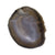 Agate Slice - Coaster