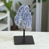 Blue Kyanite formation on a black stand with a blurred indoor background