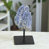Blue Kyanite formation on a black stand with a blurred indoor background